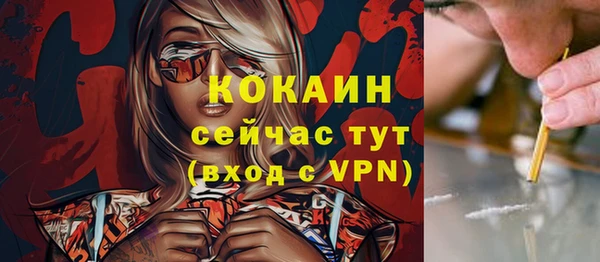 индика Армянск